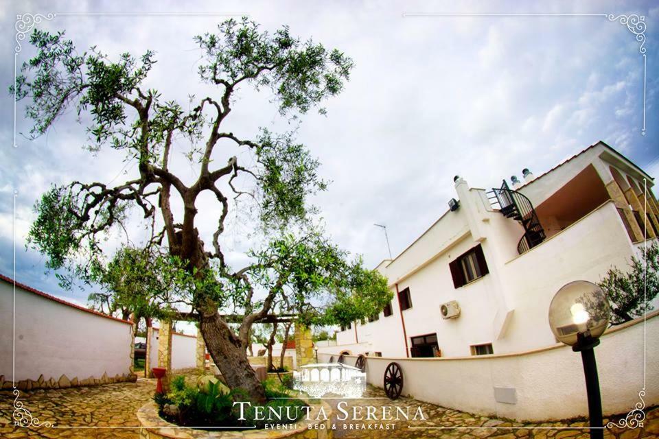 Tenuta Serena Apartments 몰페타 외부 사진